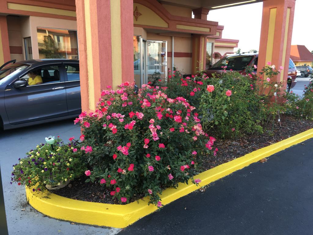 Americas Best Value Inn & Suites Williamstown Εξωτερικό φωτογραφία